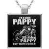 Biker Pappy Like A Normal Pappy Only Much Co